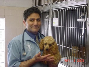 Sanatoga Animal Hospital building exterior